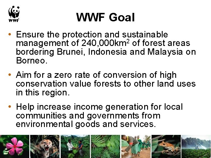 WWF Goal • Ensure the protection and sustainable management of 240, 000 km 2