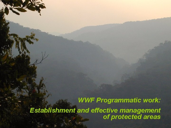 WWF Programmatic work: Establishment and effective management of protected areas 