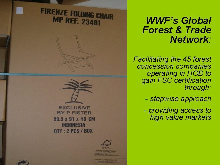 WWF’s Global Forest & Trade Network: Facilitating the 45 forest concession companies operating in