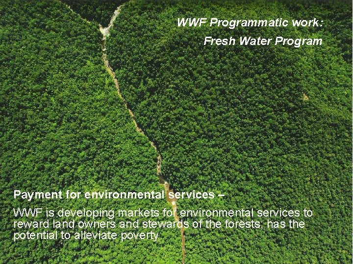 WWF Programmatic work: Fresh Water Program Payment for environmental services – WWF is developing