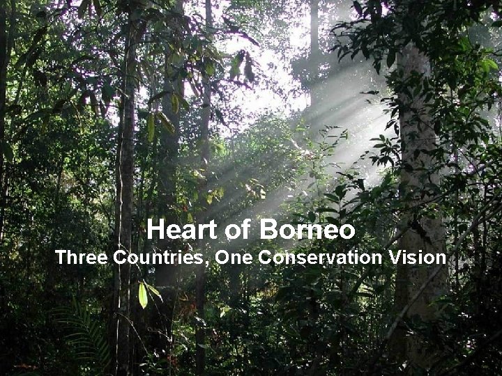 Heart of Borneo Three Countries, One Conservation Vision 