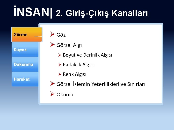 İNSAN| 2. Giriş-Çıkış Kanalları Görme Duyma Dokunma Hareket Ø Göz Ø Görsel Algı Ø