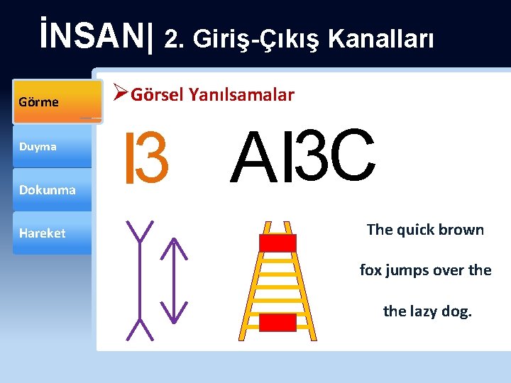 İNSAN| 2. Giriş-Çıkış Kanalları Görme Duyma Dokunma Hareket ØGörsel Yanılsamalar I 3 AI 3