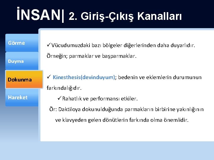 İNSAN| 2. Giriş-Çıkış Kanalları Görme Duyma Dokunma üVücudumuzdaki bazı bölgeler diğerlerinden daha duyarlıdır. Örneğin;