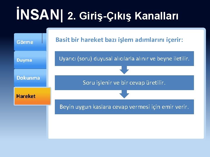İNSAN| 2. Giriş-Çıkış Kanalları Görme Duyma Dokunma Basit bir hareket bazı işlem adımlarını içerir:
