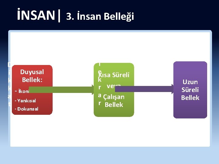 İNSAN| 3. İnsan Belleği D i Duyusal k Bellek: k - İkonik a -