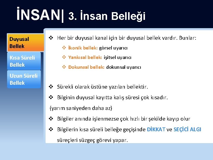 İNSAN| 3. İnsan Belleği Duyusal Bellek Kısa Süreli Bellek Uzun Süreli Bellek v Her