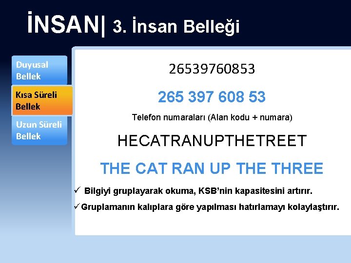 İNSAN| 3. İnsan Belleği Duyusal Bellek Kısa Süreli Bellek Uzun Süreli Bellek 26539760853 265