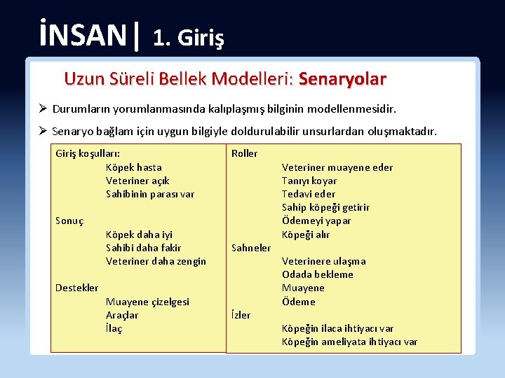 İNSAN| 1. Giriş Uzun Süreli Bellek Modelleri: Senaryolar Ø Durumların yorumlanmasında kalıplaşmış bilginin modellenmesidir.