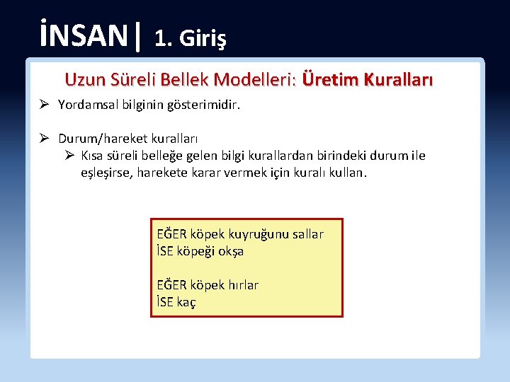 İNSAN| 1. Giriş Uzun Süreli Bellek Modelleri: Üretim Kuralları Ø Yordamsal bilginin gösterimidir. Ø