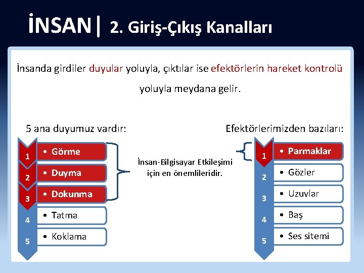 İNSAN| 2. Giriş-Çıkış Kanalları İnsanda girdiler duyular yoluyla, çıktılar ise efektörlerin hareket kontrolü yoluyla