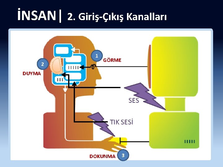 İNSAN| 2. Giriş-Çıkış Kanalları 1 2 GÖRME DUYMA SES TIK SESİ DOKUNMA 3 