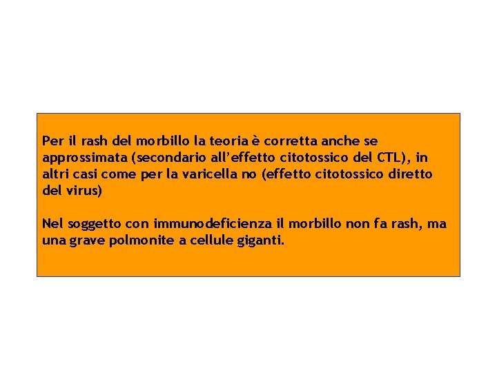 Per il rash del morbillo la teoria è corretta anche se approssimata (secondario all’effetto