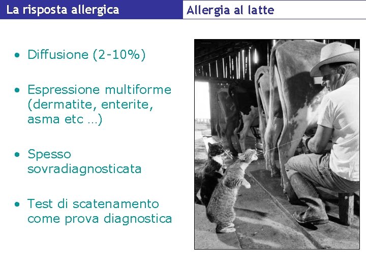 La risposta allergica • Diffusione (2 -10%) • Espressione multiforme (dermatite, enterite, asma etc