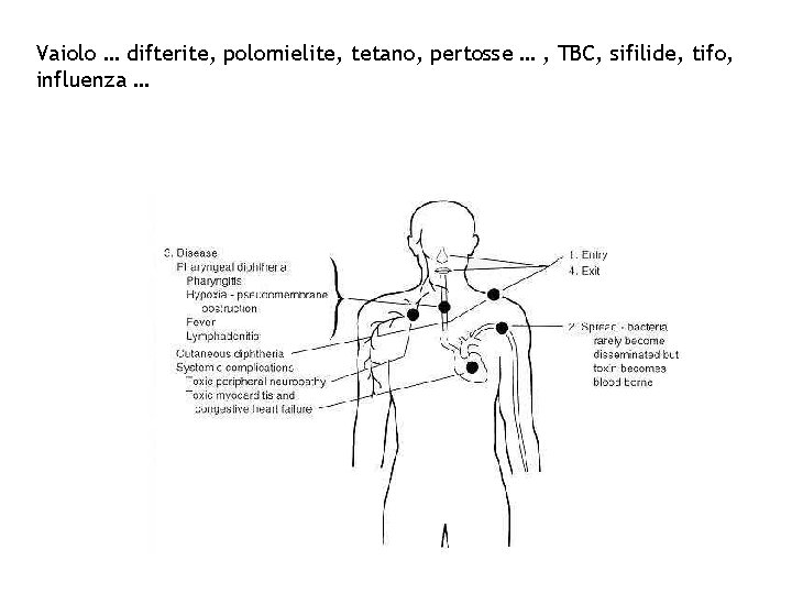 Vaiolo … difterite, polomielite, tetano, pertosse … , TBC, sifilide, tifo, influenza … 