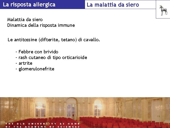 La risposta allergica La malattia da siero Malattia da siero Dinamica della risposta immune