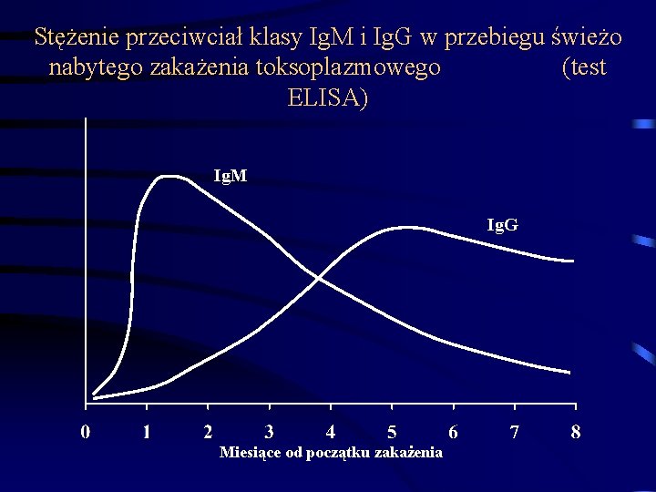 Stężenie przeciwciał klasy Ig. M i Ig. G w przebiegu świeżo nabytego zakażenia toksoplazmowego