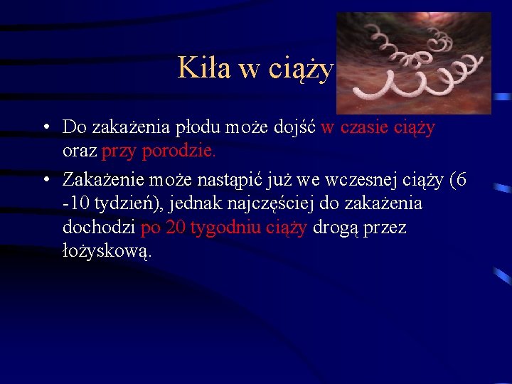 Kiła w ciąży • Do zakażenia płodu może dojść w czasie ciąży oraz przy