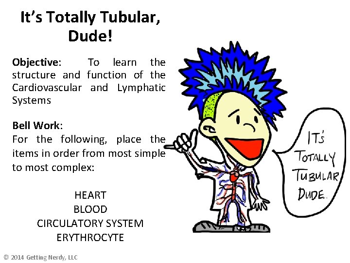 It’s Totally Tubular, Dude! Objective: To learn the structure and function of the Cardiovascular