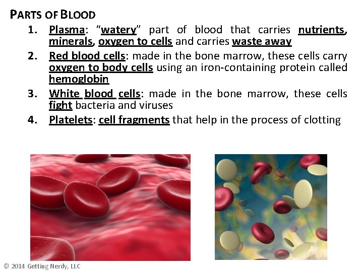 PARTS OF BLOOD 1. Plasma: “watery” part of blood that carries nutrients, minerals, oxygen