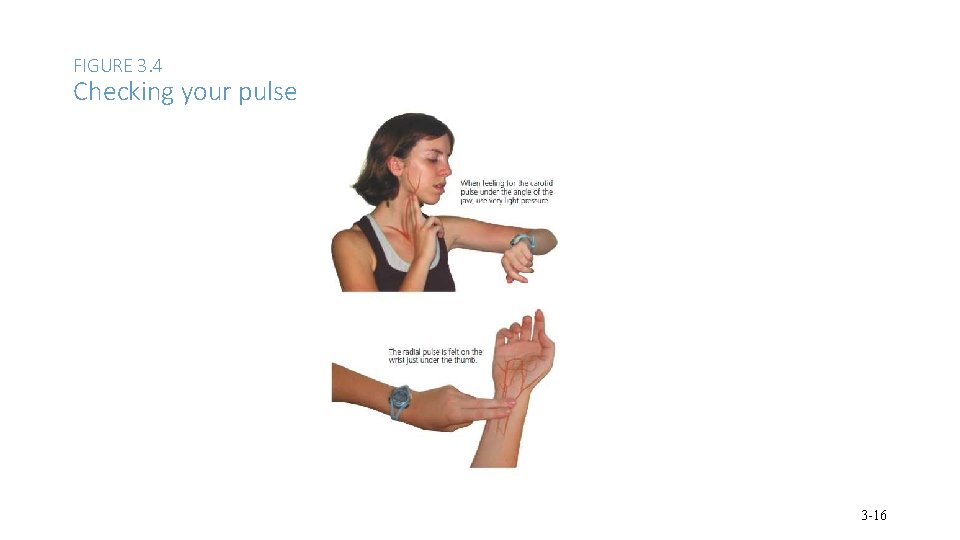FIGURE 3. 4 Checking your pulse 3 -16 