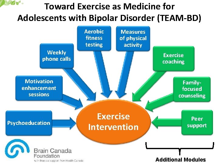 Toward Exercise as Medicine for Adolescents with Bipolar Disorder (TEAM-BD) Aerobic fitness testing Measures