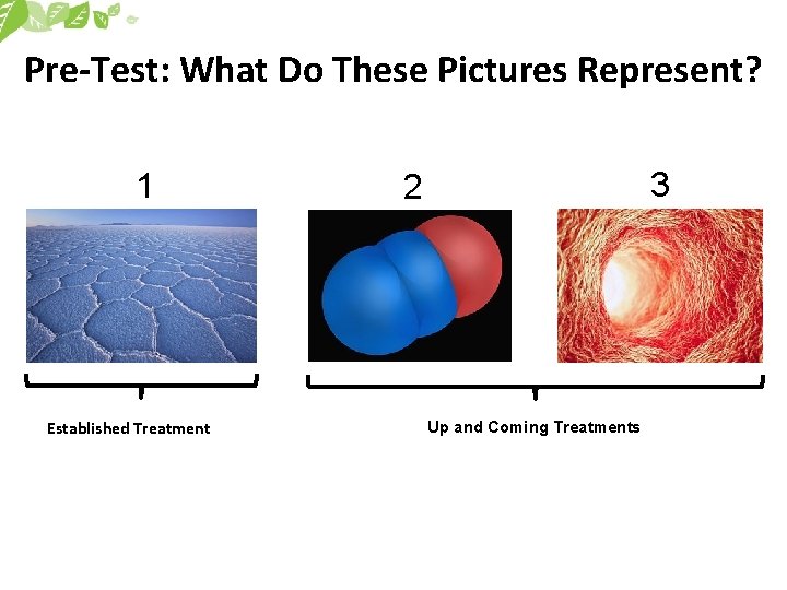 Pre-Test: What Do These Pictures Represent? 1 Established Treatment 3 2 Up and Coming