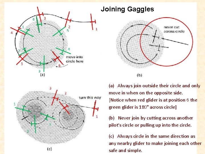 Joining Gaggles (a) Always join outside their circle and only move in when on