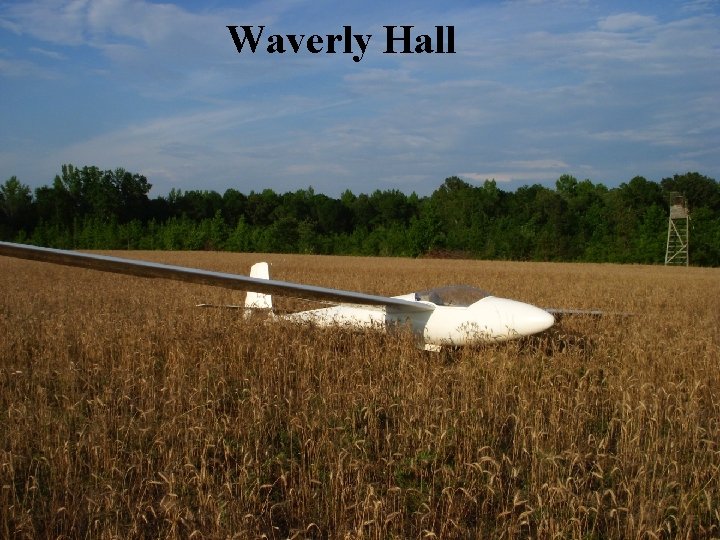 Waverly Hall 