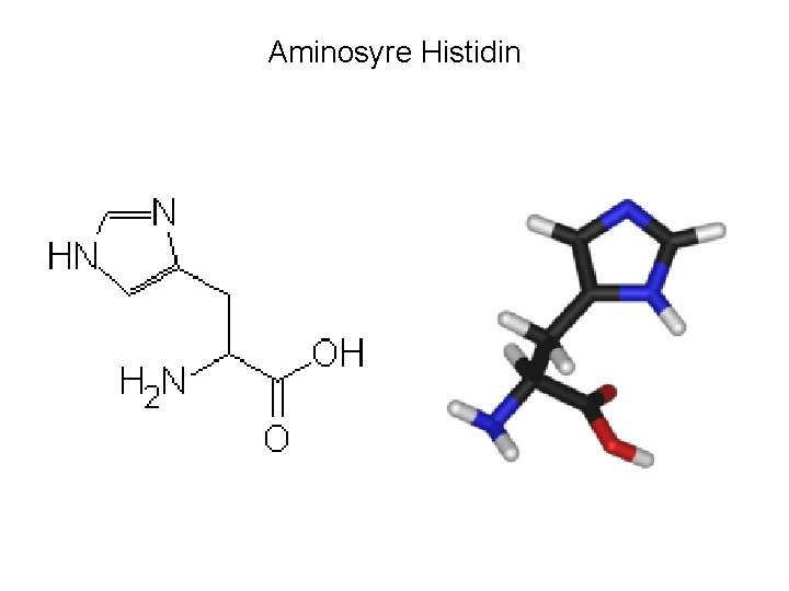 Aminosyre Histidin 
