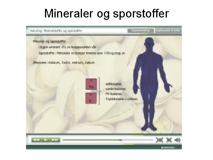Mineraler og sporstoffer 