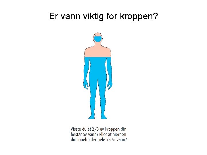 Er vann viktig for kroppen? 