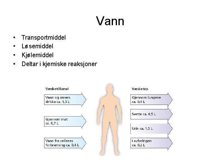 Vann • • Transportmiddel Løsemiddel Kjølemiddel Deltar i kjemiske reaksjoner 