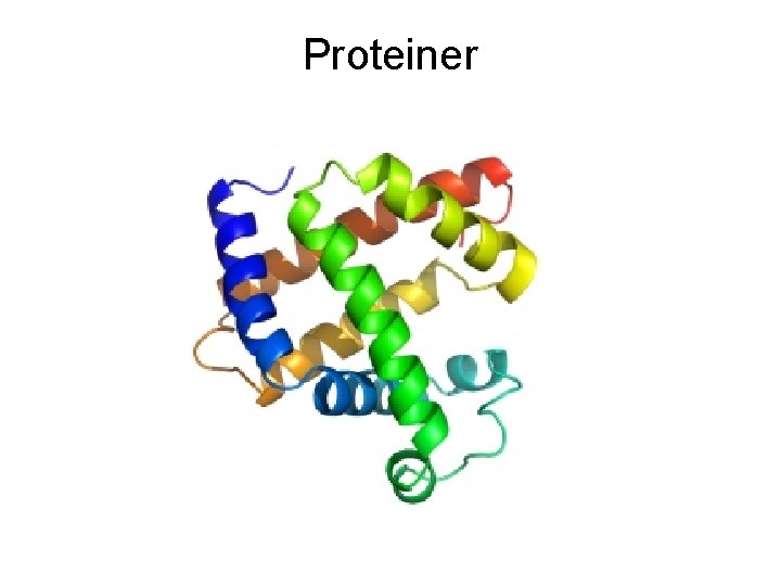 Proteiner 
