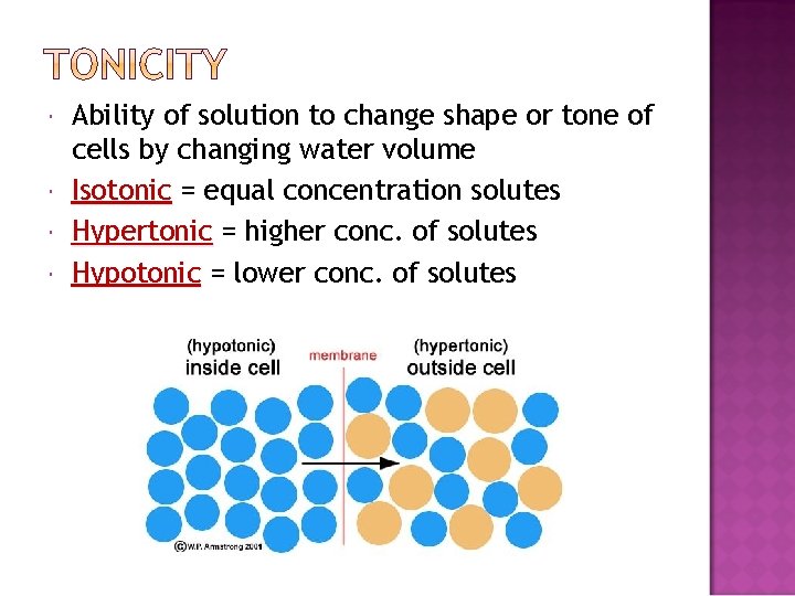  Ability of solution to change shape or tone of cells by changing water