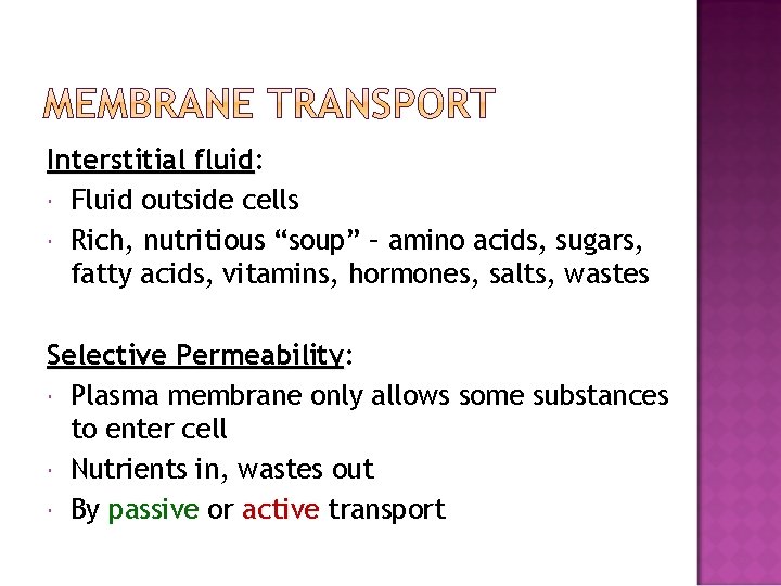 Interstitial fluid: fluid Fluid outside cells Rich, nutritious “soup” – amino acids, sugars, fatty