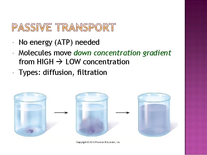  No energy (ATP) needed Molecules move down concentration gradient from HIGH LOW concentration