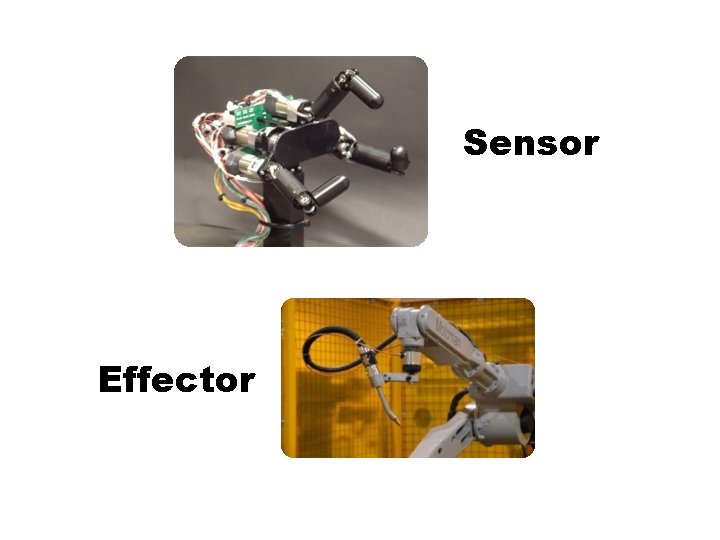 Sensor Effector  Sensor Effector