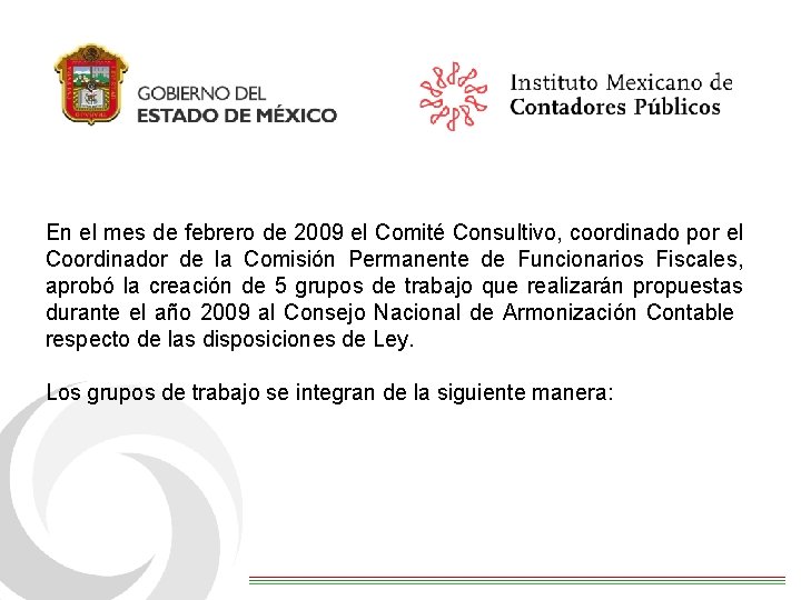 En el mes de febrero de 2009 el Comité Consultivo, coordinado por el Coordinador