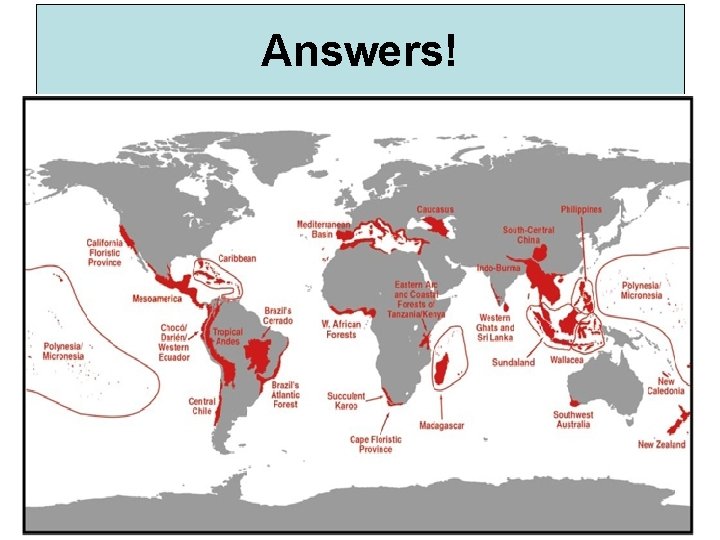 Answers! Answers!