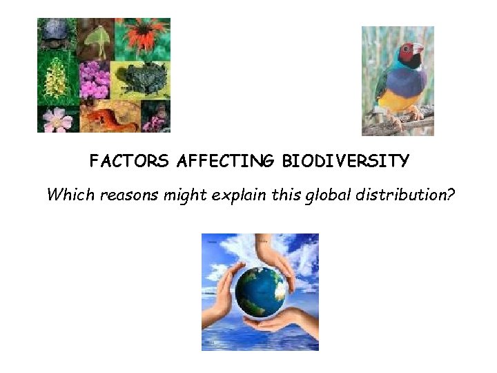 FACTORS AFFECTING BIODIVERSITY Which reasons might explain this global distribution? FACTORS AFFECTING BIODIVERSITY Which reasons might explain this global distribution?