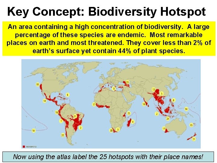 Key Concept: Biodiversity Hotspot An area containing a high concentration of biodiversity. A large Key Concept: Biodiversity Hotspot An area containing a high concentration of biodiversity. A large