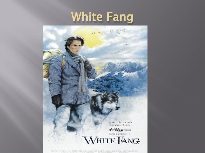 White Fang 