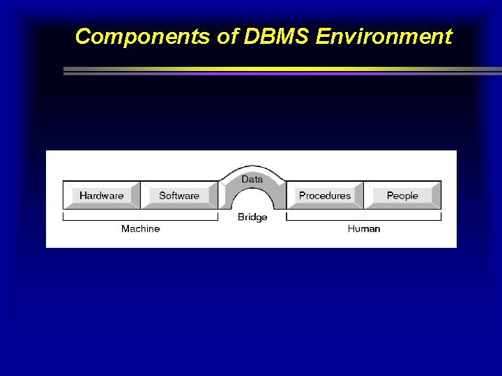 Components of DBMS Environment 