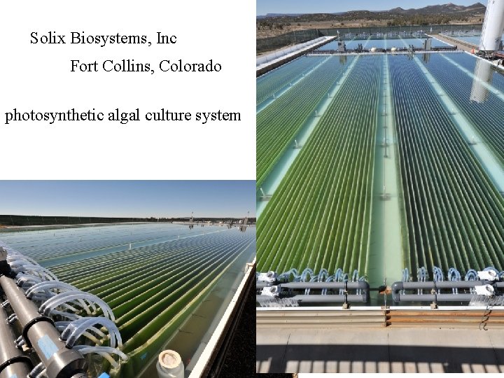 Solix Biosystems, Inc Fort Collins, Colorado photosynthetic algal culture system 