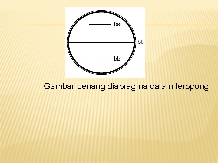 Gambar benang diapragma dalam teropong 