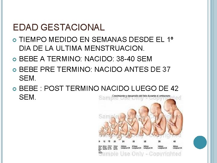 EDAD GESTACIONAL TIEMPO MEDIDO EN SEMANAS DESDE EL 1º DIA DE LA ULTIMA MENSTRUACION.