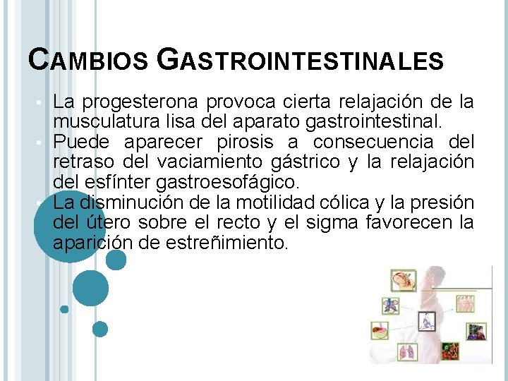 CAMBIOS GASTROINTESTINALES La progesterona provoca cierta relajación de la musculatura lisa del aparato gastrointestinal.