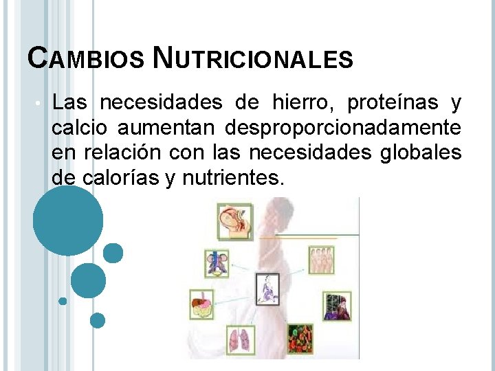 CAMBIOS NUTRICIONALES • Las necesidades de hierro, proteínas y calcio aumentan desproporcionadamente en relación