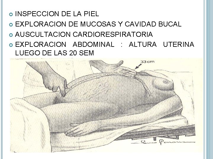 INSPECCION DE LA PIEL EXPLORACION DE MUCOSAS Y CAVIDAD BUCAL AUSCULTACION CARDIORESPIRATORIA EXPLORACION ABDOMINAL